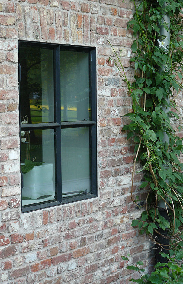Schlichtes Fenster mit schwarzem Rahmen in einer Backsteinwand, daneben Kletterpflanze an der Hausfassade Modernes Fenster mit schwarzem Rahmen in einer roten Ziegelsteinwand, rechts davon ranken grüne Kletterpflanzen neben einem Fallrohr empor