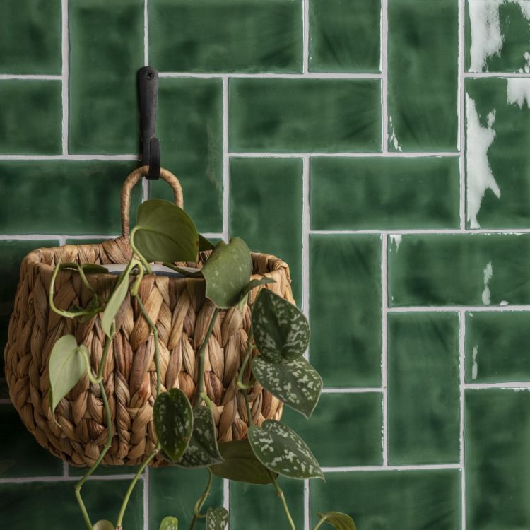 Geflochtener Hängekorb mit Efeutute vor grünen Fliesen