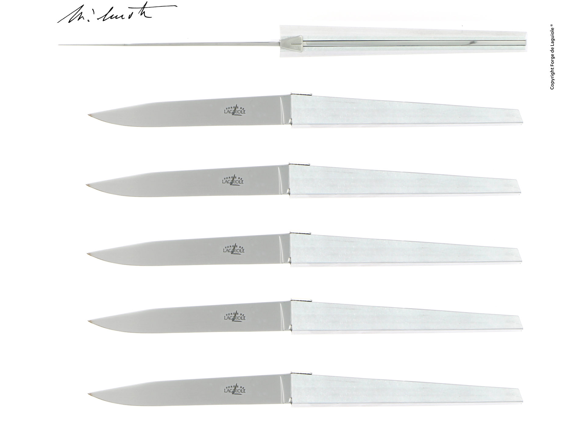 Set aus 6 Laguiole Steakmessern mit Edelstahlgriff – modern und hochwertig Sechs hochwertige Steakmesser aus Edelstahl von Forge de Laguiole mit modernem Design, nebeneinander angeordnet