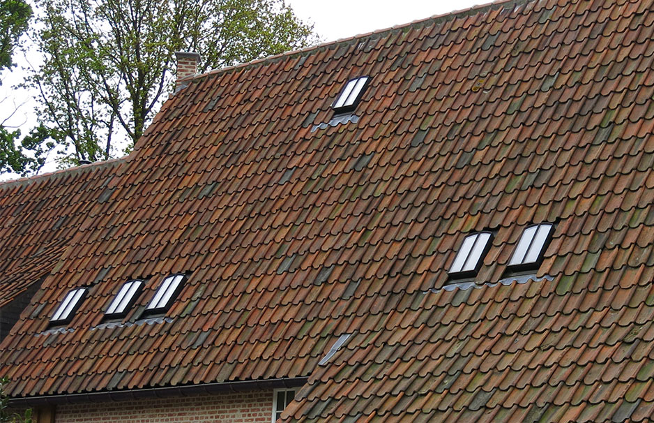 Bogen-Dachfenster 60 x 70 cm VERTIC II