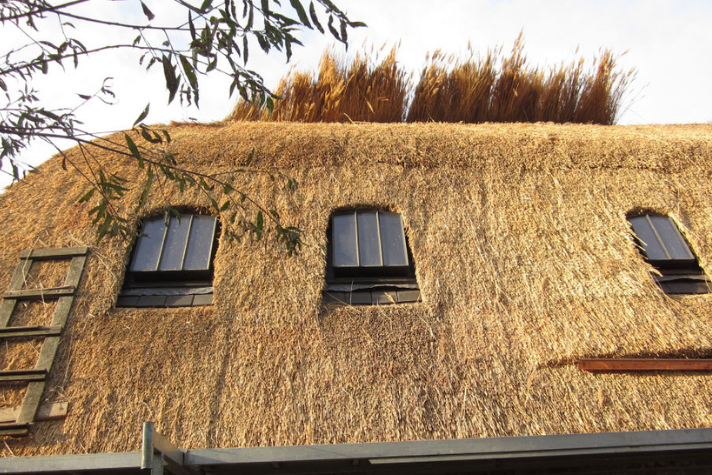 Reetgedecktes Haus mit drei kleinen Fenstern und seitlicher Holzleiter Traditionelles Gebäude mit Reetdach, drei rechteckigen Fenstern und einer Holzleiter an der Fassade