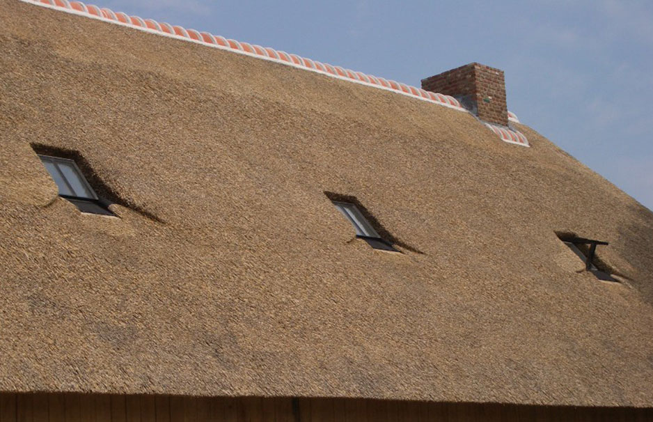 Bogen-Dachfenster 60 x 70 cm VERTIC